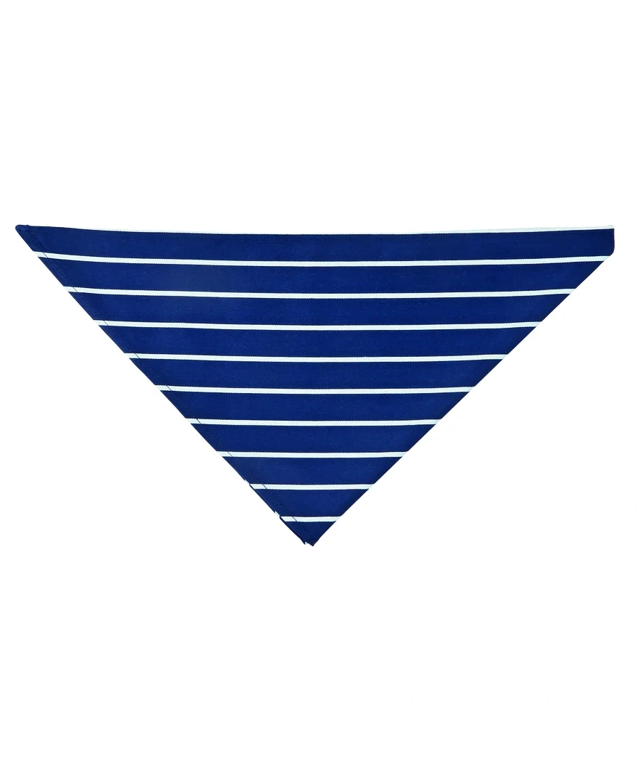 5FS_1_01